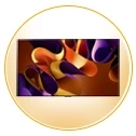 تلویزیون